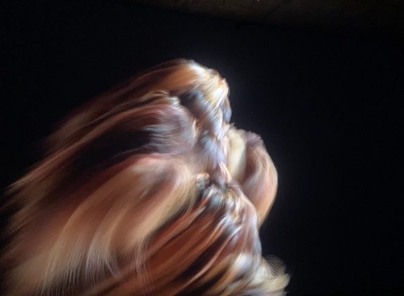 Lifeforms exhibition by Universal Everything