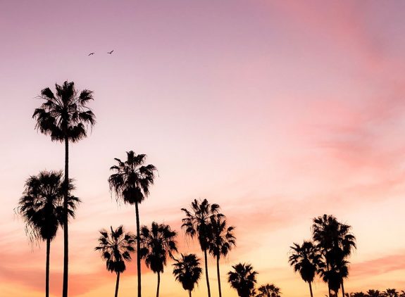New project: Californian retailer